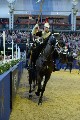 Cavalry - 00204
